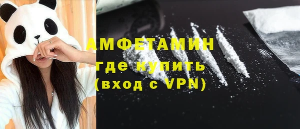 сатива Балахна