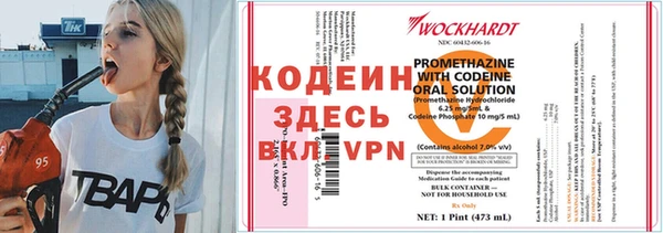 ПСИЛОЦИБИНОВЫЕ ГРИБЫ Баксан