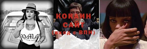 сатива Балахна
