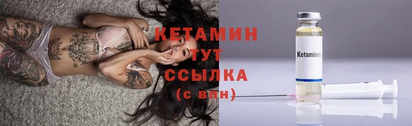 сатива Балахна