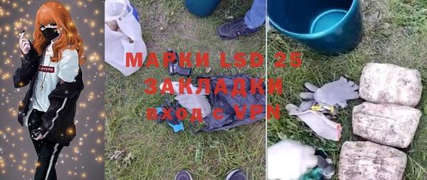 ПСИЛОЦИБИНОВЫЕ ГРИБЫ Баксан