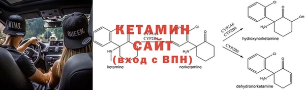 сатива Балахна