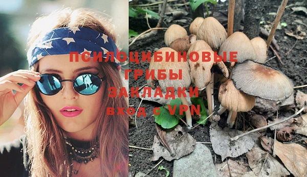 ПСИЛОЦИБИНОВЫЕ ГРИБЫ Баксан