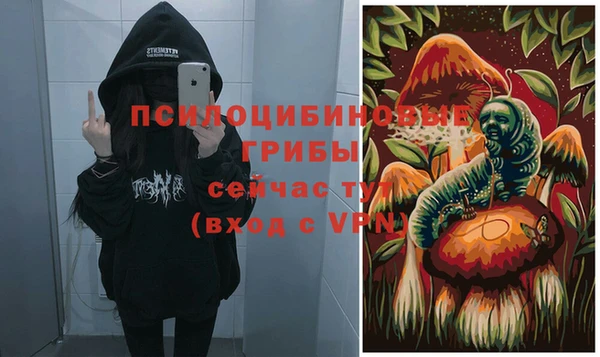 сатива Балахна