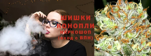ПСИЛОЦИБИНОВЫЕ ГРИБЫ Баксан